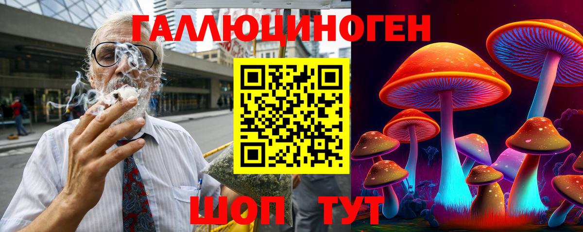 Галлюциногенные грибы Psilocybe Чапаевск